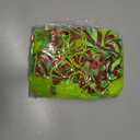 12PCS Lime Green Furry Christmas Ball Ornaments Xmas Tree Decorations Green Faux Fur Bow Hanging Balls for Home Wreath Fireplace Wall Holiday Party