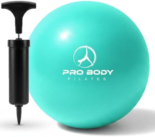 ProBody Pilates Small Exercise Ball with Pump - 9 Inch Workout Ball for Stability, Barre, Yoga, Core & Physical Therapy, Missing detail