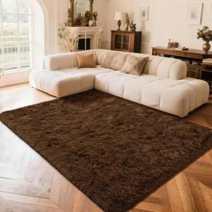 Przemy Fluffy Rug for Bedroom, 4x6 Feet Shaggy Area Rugs for Living Room, Super Soft Fuzzy Carpet Rug for Kids Room Dorm Nursery Indoor Home Decor, Brown