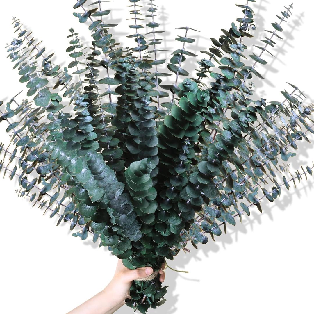 30Pcs Dried Eucalyptus Stems, 17" Real Preserved Eucalyptus Plant for Shower, Fresh Natural Branches for Vase, Eucalyptus Bundle for Home Decor, Wedding, Baby Shower, Bathroom