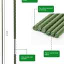 3ft Garden Stakes, Plastic Coated Steel Plant Stakes for Climbing Plants 25pcs