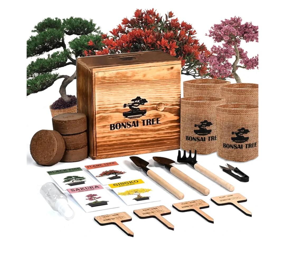 Bonsai Garden Starter Kit, 4 Seeds Growing into Sakura, Ginkgo, Black Pine, Red Flame, Including Complete Gardening Tools & A Planter Box with Cover for Men Women Beginners