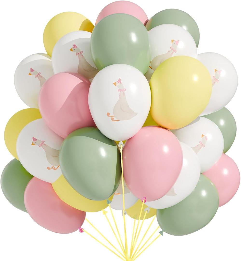 60 Pcs Bow Goose Balloons Set, 12 Inch Pastel Pink Latex Balloons One Silly Goose Birthday Party Decorations Baby Shower Decor(Pink)