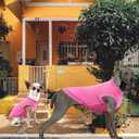 2 x Dog Pink Shirt for Large Dogs,Blank Plain Pink Cotton Shirts for Labrador,XXL Pink Rose