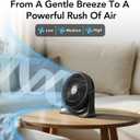 Comfort Zone 11-Inch High-Velocity Tabletop Air Circulator Fan, Quiet Personal Fan with 3 Speeds & 90 Adjustable Tilt  Portable Desk Fan for Home, Bedroom, or Office, Black