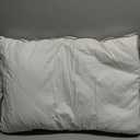 puredown Goose Feathers and Down Pillow for Sleeping Hotel Collection Bed Pillows, Gusseted, Queen, Set of 2 (Gusseted Style 1)