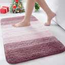 Arotive Microfiber Bathroom Rugs, Shaggy Soft and Absorbent Bath Rug, Non-Slip, Thick Plush Machine Washable Dry Bath Mats for Bathroom, Tub and Shower, 24x16, Mauve, Rectangular
