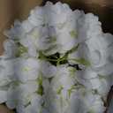 Hollyone Hydrangea Artificial Flowers with Vase White Silk Fake Flowers Arrangements in Glass Vase with Faux Water for Home Bathroom Office Table Centerpiece Shelf Decorations