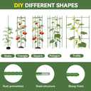 Halatool 2 Pack Tomato Cages for Garden, Up to 48in Adjustable Tomato Cage, Garden Stakes Tomatoe Trellis for Pots, Tomatoes Plant Support for Raised Garden Bed & Climbing Vegetables Flowers