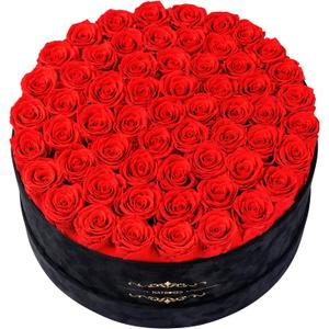 Gifts for Women NATROSES 60 Preserved Roses in Luxury Black Velvet Box, Preserved Flowers for Delivery Gift for Her, Elegant Rose for Birthday, Mothers Day, Christmas (Red)