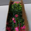 Grunyia 10 Bundles Artificial Fake Flowers, Faux Outdoor Plastic Plants UV Resistant Shrubs Outside Indoor Decorations (Pink-Eucalyptus)