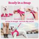 Rabbitgoo Dog Harness Small Sized and Leash Set, Step in Soft Light Puppy Vest, Breathable Mesh Pet Harness, Reflective for Safe Easy Walking, Rose Red, XXS