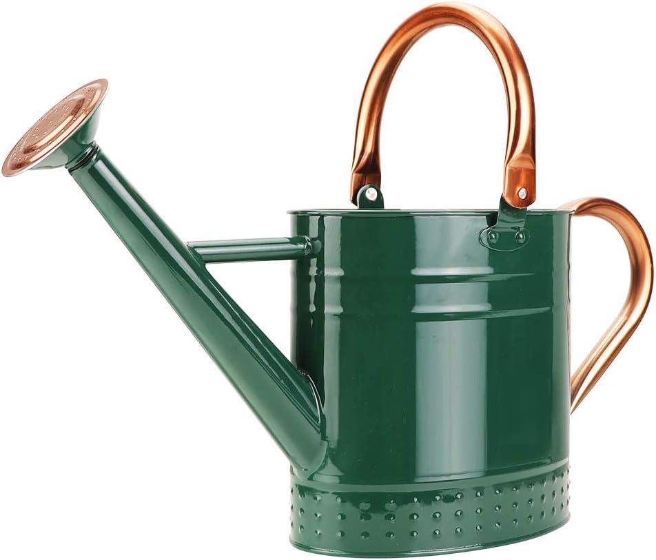 1 Gallon Metal Watering Can with Removable Spout, Nice Galvanized Steel Water Can with Embossed Design for Indoor and Outdoor Plants (Green)