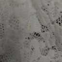 Forever 21 Women’s Long Sleeve Lace Mini Dress - Sheer Lace Overlay, Fitted Cocktail Party Outfit, Elegant Night Out and Evening Wear, Gardenia, Large