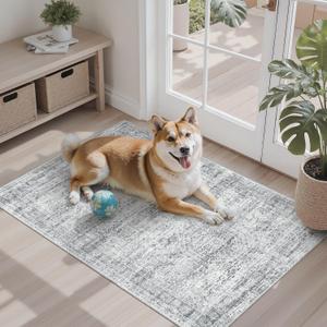 Soalmost 2x3 Washable Rugs for Kitchen, Floor, Entryway, Powder Room Small Area Rug Non-Slip Vintage Low Pile Throw Door Mat Grey