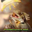 Reptile Heat Lamp, Simulate Natural Sunlight Heat Light Bulbs 2 Pack 100W Amphibians Basking Heat Lamp Bulbs for Reptiles, Bearded Dragon, Lizard, Turtle, Chicken