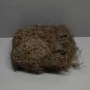 Giegxin Halloween Spanish Moss 41" Succulents Faux Moss Artificial Succulent Plants Fake Vines Hanging Plants Swamp Decoration Potted Artificial Hanging Garland(Brown, 12 Pack)