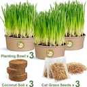 Cat Grass Kit for Indoor Cats, 3 Pack Fast Growing Cat Grass Kit with Eco-Friendly Biodegradable Pots, Soil & Organic Wheatgrass Seeds, Grows in 3-7 Days with High Germination Rate