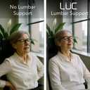 LC Lumbar Support Pillow for Office Chair & Car  Ergonomic Memory Foam Back Cushion for Lower Back Pain Relief  Adjustable Strap, Breathable Cover  Improves Posture & All-Day Comfort