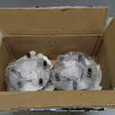 Front Wheel Hub and Bearing Assembly 6-Lug FIT 2007-2014 Escalade Suburban Tahoe Yukon 2007-2013 Silverado Sierra 1500 2WD Replace 515097 10393170 22841382