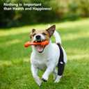 Knee Brace for ZY9X8 (Black, M)