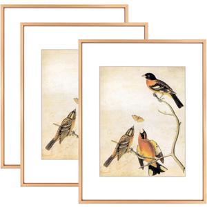 11x14 Picture Frame Set of 3, Gold Metal Photo Frames with HD Glass, Fits 8x10 with Mat or 11 x 14 without Mat, Display for Wall