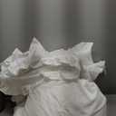 Serta Goose Feather Down Fiber Cotton Comforter Queen Size - 100% Cotton Duvet Insert - Hotel Luxury Hypoallergenic Bedding Comforter All Season Medium Warmth 90 x 90 Inch White