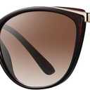 Trendy Cat Eye Sunglasses for Women Fashion Cateye UV400 Protection Glasses CL22017 (Brown Lens/Brown Frame)