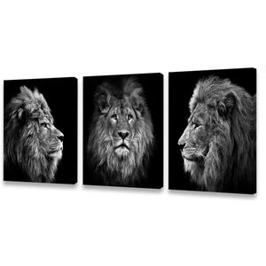 Muolunna Wall Art Black and White Lion Head Portrait Wall Art Painting Pictures Print 3 Pieces Canvas Animal for Bedroom Living Room Office Wall Decor Home Decoration Framed Ready to Hang (16x24inch x3pcs)