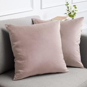 Velvet Throw Pillow Covers, Set of 2, 20x20 Decorative Square Pillows Home Decor, Soft Accent Cases, Silky Machine Washable Pillowcases for Sofa, Couch, Bedroom, Living Room, Petal Pink