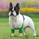 Dog Elbow Protector Sleeve Soft Pet Leg Sleeves with Adjustable Shoulder Strap, Thickened Elbow Pads Pet Leg Brace for Calluses & Wound Care, Anti-Licking Dog Recovery Arm Brace (Green, Large) (L)