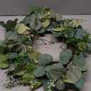 24 Inch Spring Wreath for Front Door, Spring Eucalyptus Wreath for Grapevine Farmhouse with Silk Printing Dollar Leaves Wreaths for Festival Celebration Front Door Wall Window Home Décor | Wreath for Grapevine Farmhouse with Silk Printing Dollar Leaves Wreaths for Festival Celebration Wall Window Home