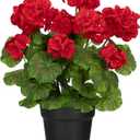 Briful Artificial Geranium Potted Plant  16 Tall, Realistic Silk Flowers with Vibrant Green Leaves, Red Geraniums Fake Flowers for Outdoors Valentine's Day Home Dcor, Farmhouse Office Tables Decor