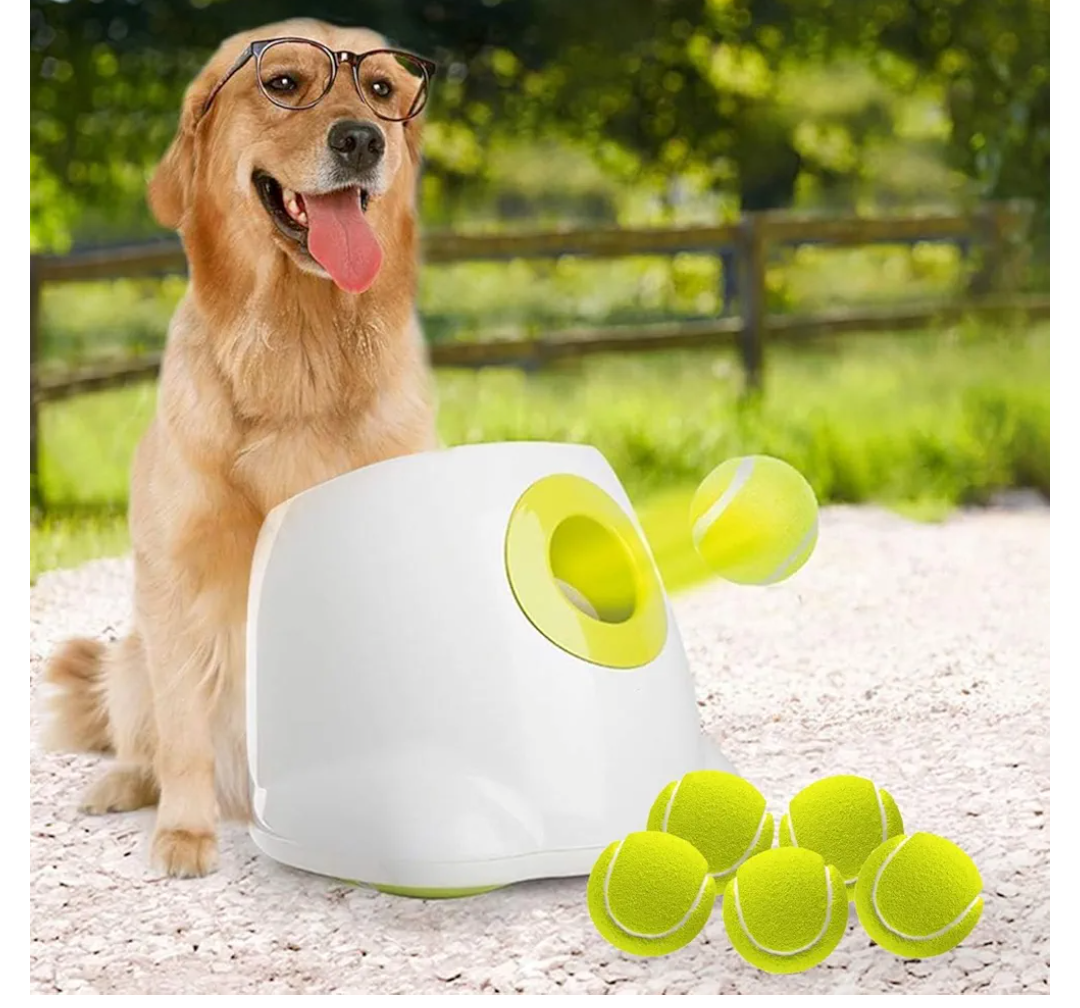 ALL FOR PAWS Automatic Dog Ball Launcher for Medium to Large Dogs, Interactive Tennis Ball Thrower, Rechargeable Dog Toy Mental Stimulation Training Game for Energetic Dogs
