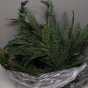 Christmas Cedar Garland Realistic - 2 Pack Cypress Decorations with Lights 6ft for Mantle Lighted Faux Pine Garlands for Xmas Home Decoration Indoor Stairs Railing Fireplace Outdoor Prelit Door Decor