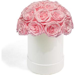 27 Preserved Roses in Round Dome Shape, Mother's Day Real Forever Flowers Rose Box, Eternal Rose Gift for Her Women Girl Friend Wife, Flower Gift for Valentines Day(Pink)