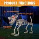 JOYIN Howling Wolf Skeletons Halloween Decorations 34” Skeleton Dog with Red LED Eyes, Auto-Chin Opening and Closing, Movable Posable Joints Animal Skeleton for Outdoor Indoor Garden Graveyard Decor