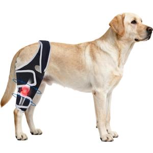 Knee Brace for Dogs All Leg, Adjustable Dog Knee Brace for Torn Leg -Keeps Joint Warm and Stable, Extra Support, Reduces Pain (Size M)