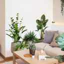 iMagitek Large Green Plant Wall Decals Tropical Leaves 3D Potted Plant Wall Stickers for Living Room Bedroom Home Wall Decor 43.7x34.65inch