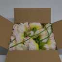 U'Artlines 20 Heads Artificial Peony Silk Flower Leaf Home Office Wedding Party Festival Bar Decor (Cream White)