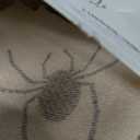 Vitalcozy 3 pcs trick or treat, Birthday Party Supplies Photo Backdrop 