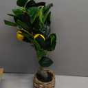 Artificial Potted Plants 17.3 inches Small Fake Lemon Tree Artificial Lemons Citrus Tree with Woven Pot Faux Plants Indoor Lemon Decorations for Home,Office, Living Room Table, Desk