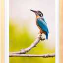 Mxtallup 15x19 Diamond Painting Frames Wood , Photo Frame Natural Solid Wood Color