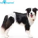 Paw Inspired 20ct Disposable Dog Diapers | Female Dog Diapers Ultra Protection | Diapers for Dogs in Heat, Excitable Urination, or Incontinence (Large)