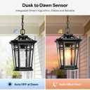 Gleamz Large Dusk to Dawn Outdoor Hanging Lights, Black Outdoor Chandelier Fixture, Aluminum Outside Pendant Sconce, Outside Ceiling Light for Porch, Entryway, Garden, Garage, 1-Pack, Hardwired, 9" Large Size