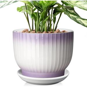 8 Inch Plant Pot, Ceramic Planter with Drainage and Saucer, Ceramic Pots for Plants, Indoor Plant pots,Ceramic Flower pots(Purple + White, Plants NOT Included)