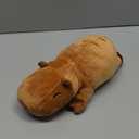 Weighted Capybara Stuffed Animals, Cute Weighted Capybara Plush, Soft Stuffed Weighted Plushie Pillow Gifts for Girls Boys(9.8" 0.8Lbs) (Small)