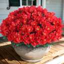 Juxdp 16 Bundles Artificial Camellia for Front Door Outside - Faux UV Resistant Real Looking Camellia Flowers Fake Silk Bouquets Plants for Garden Window Farmhouse Home Spring Summer Decor (Red)