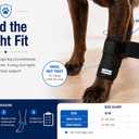 Labra Dog Front Leg Brace - Compression Wrap with Adjustable Straps - Dog Wrist Brace for Support - Leg Sleeve to Stop Licking - Aid in Wound Care and Recovery - Large/Extra Large (Black)
