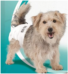 Simple Solution Disposable Dog Diapers, Female Dog Diapers, Puppy Potty Training, Incontinence and Heat Cycle Protection, Extra Small Diapers for Dogs, 914 Inch Waist, 30 Count
